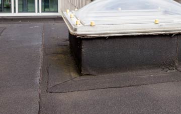 disadvantages of Cleuch Head flat roofs
