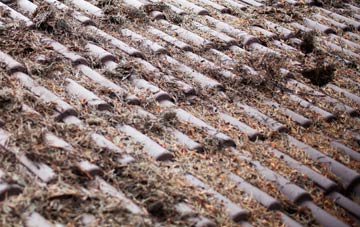 Cleuch Head roof cleaning companies